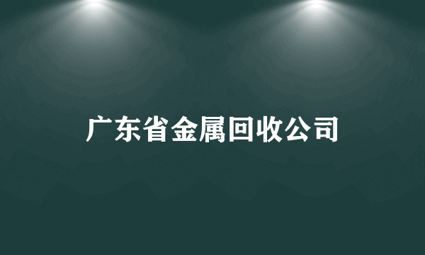 广东省金属回收公司