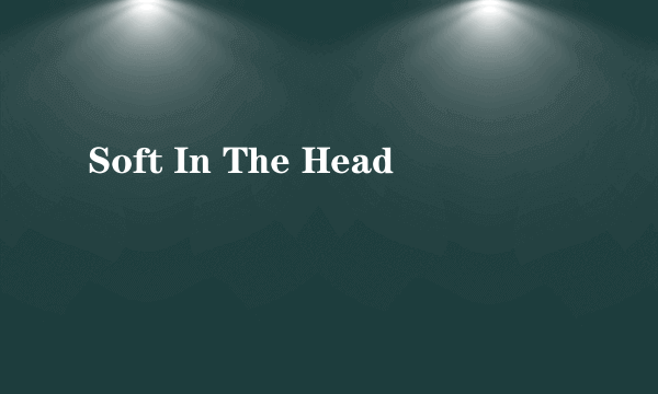 什么是Soft In The Head