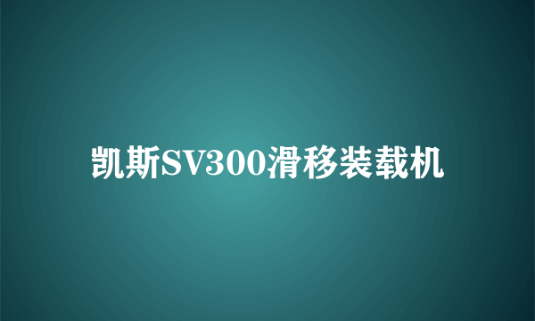 凯斯SV300滑移装载机