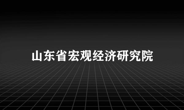 什么是山东省宏观经济研究院