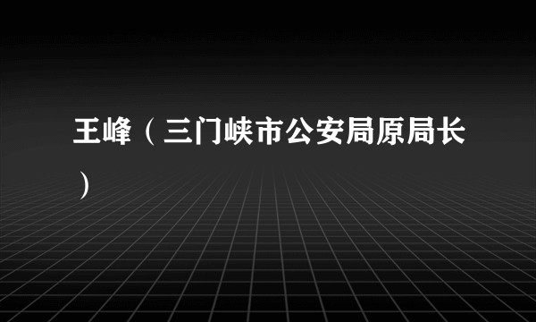 王峰（三门峡市公安局原局长）