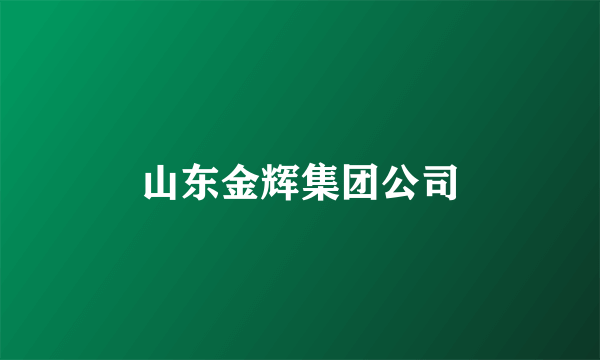 山东金辉集团公司