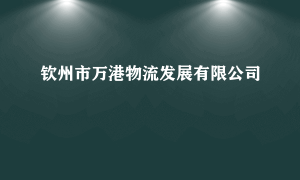 钦州市万港物流发展有限公司