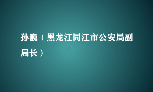 孙巍（黑龙江同江市公安局副局长）