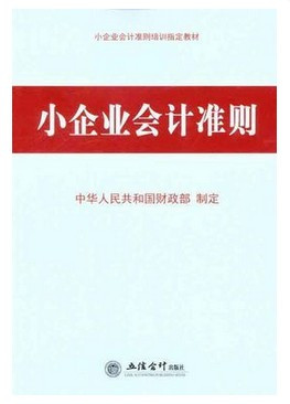 什么是《小企业会计制度》/总说明