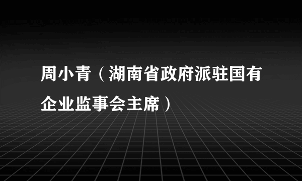 周小青（湖南省政府派驻国有企业监事会主席）