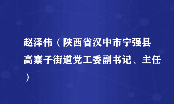 赵泽伟（陕西省汉中市宁强县高寨子街道党工委副书记、主任）