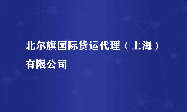 北尔旗国际货运代理（上海）有限公司