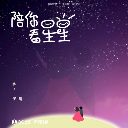 什么是陪你看星星（陈子晴演唱歌曲）