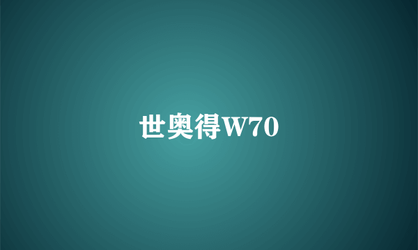 世奥得W70