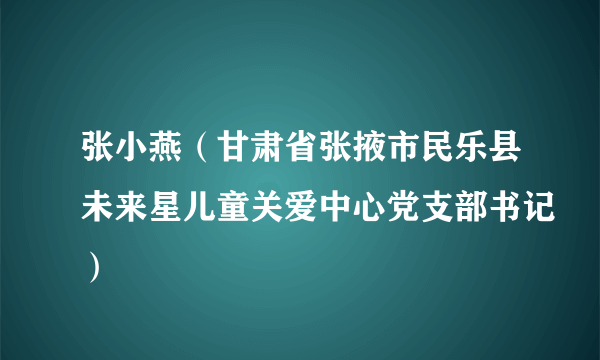 张小燕（甘肃省张掖市民乐县未来星儿童关爱中心党支部书记）