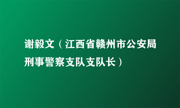 什么是谢毅文（江西省赣州市公安局刑事警察支队支队长）