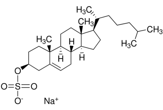 胆固醇酯