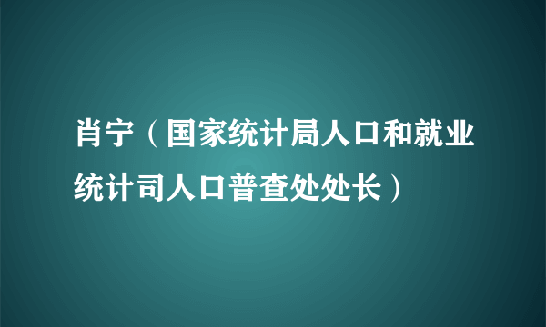 肖宁（国家统计局人口和就业统计司人口普查处处长）