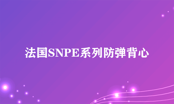 法国SNPE系列防弹背心