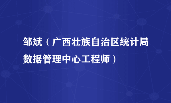 什么是邹斌（广西壮族自治区统计局数据管理中心工程师）