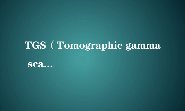 TGS（Tomographic gamma scanning）