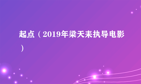 起点（2019年梁天耒执导电影）