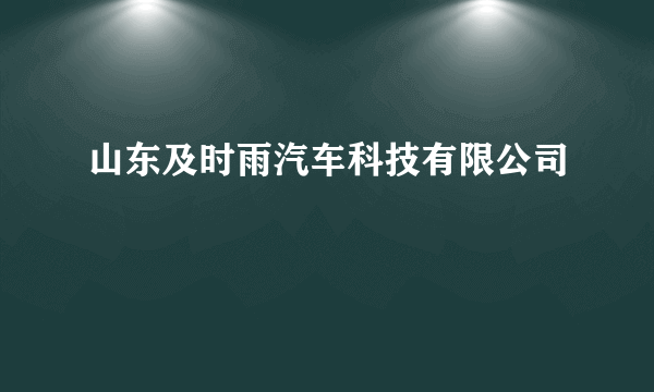 山东及时雨汽车科技有限公司