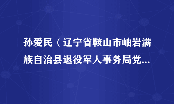 孙爱民（辽宁省鞍山市岫岩满族自治县退役军人事务局党组书记、局长）