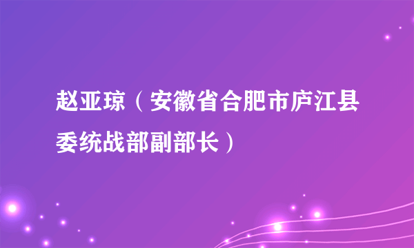 赵亚琼（安徽省合肥市庐江县委统战部副部长）