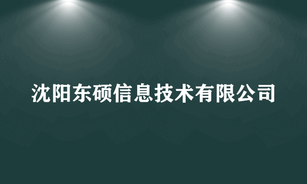 沈阳东硕信息技术有限公司