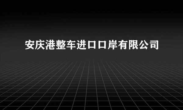 安庆港整车进口口岸有限公司