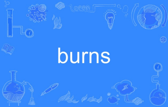 什么是burns