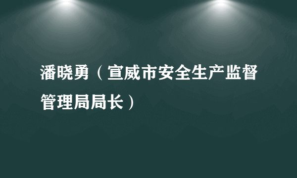 什么是潘晓勇（宣威市安全生产监督管理局局长）