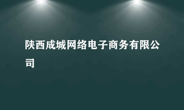 陕西成城网络电子商务有限公司