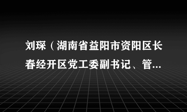 刘琛（湖南省益阳市资阳区长春经开区党工委副书记、管委会主任）