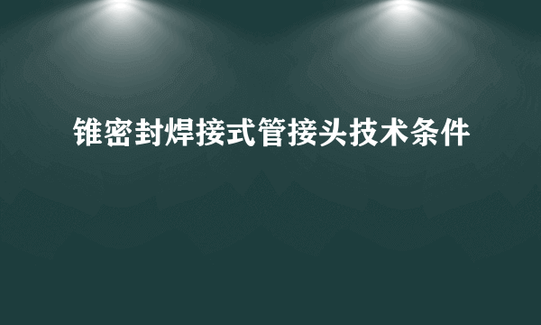 锥密封焊接式管接头技术条件