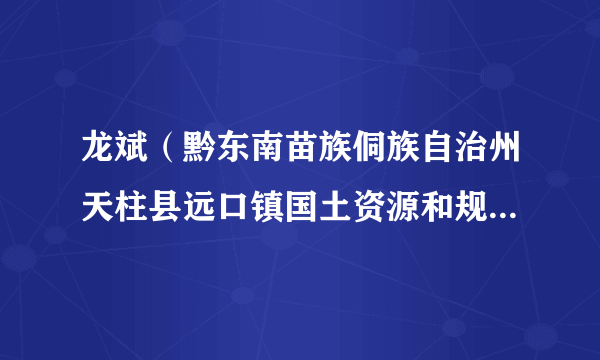 龙斌（黔东南苗族侗族自治州天柱县远口镇国土资源和规划建设环保办公室主任、一级科员）