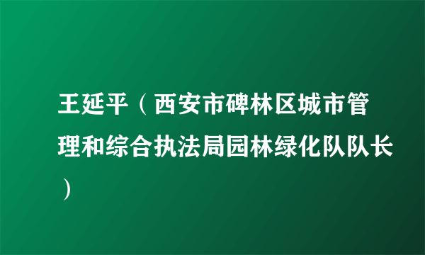 王延平（西安市碑林区城市管理和综合执法局园林绿化队队长）