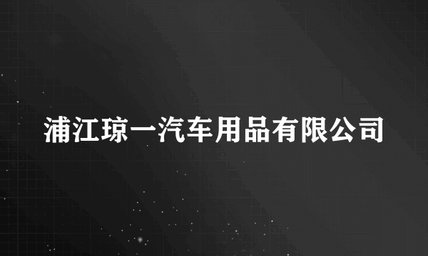 浦江琼一汽车用品有限公司