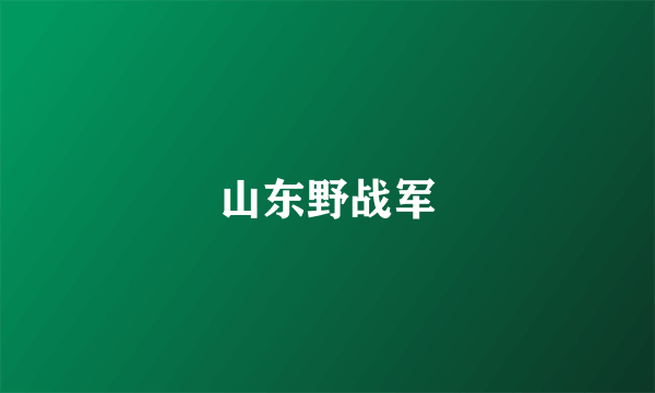 什么是山东野战军