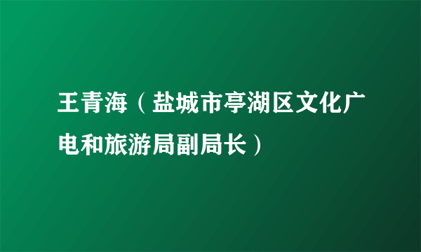 王青海（盐城市亭湖区文化广电和旅游局副局长）