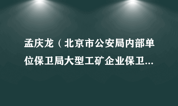 孟庆龙（北京市公安局内部单位保卫局大型工矿企业保卫支队中队长）