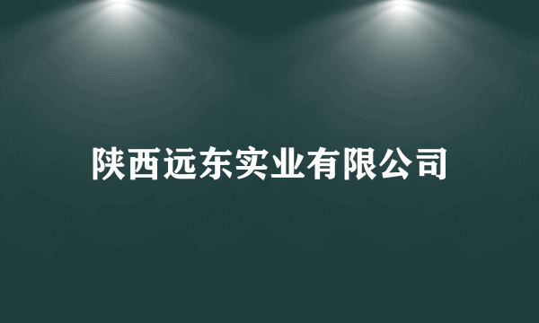 陕西远东实业有限公司