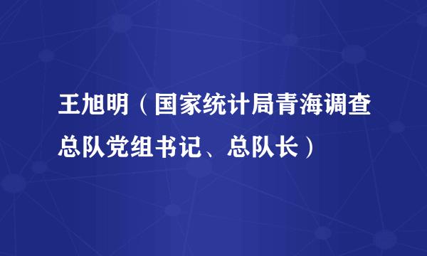 王旭明（国家统计局青海调查总队党组书记、总队长）