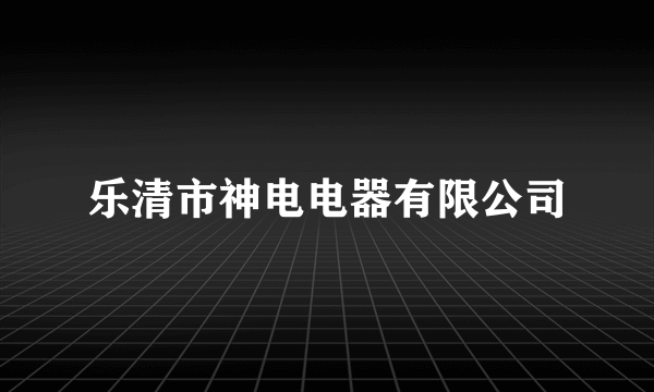 乐清市神电电器有限公司