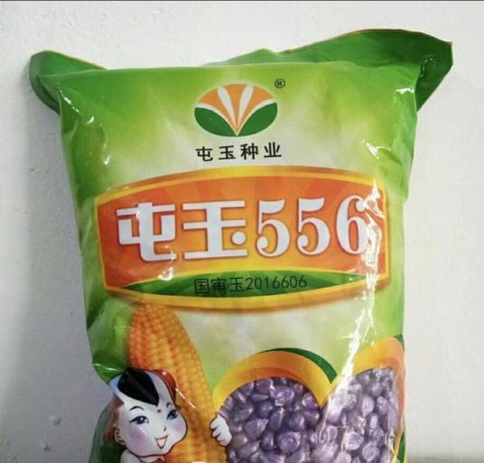 什么是屯玉556