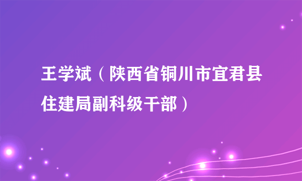 王学斌（陕西省铜川市宜君县住建局副科级干部）