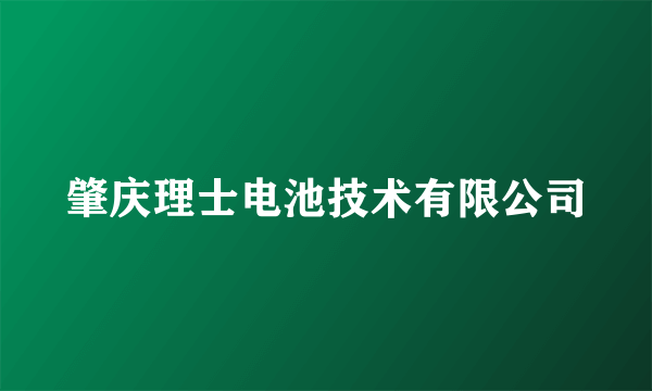 肇庆理士电池技术有限公司