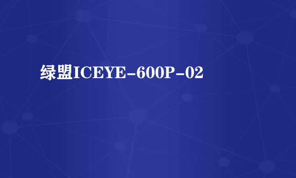 绿盟ICEYE-600P-02