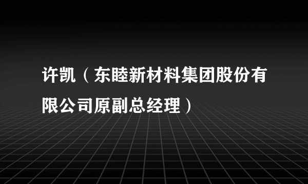 什么是许凯（东睦新材料集团股份有限公司原副总经理）