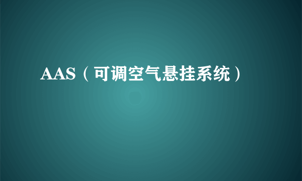 AAS（可调空气悬挂系统）