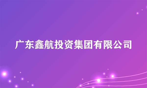 广东鑫航投资集团有限公司