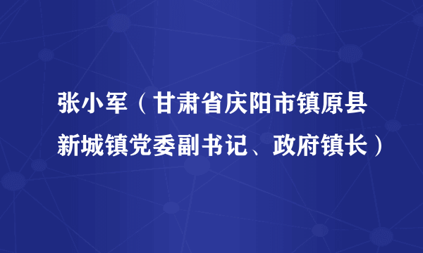 张小军（甘肃省庆阳市镇原县新城镇党委副书记、政府镇长）