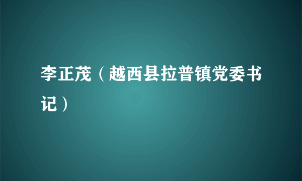 李正茂（越西县拉普镇党委书记）